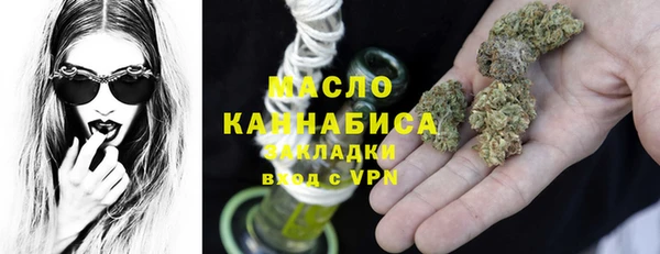 мет Дмитров