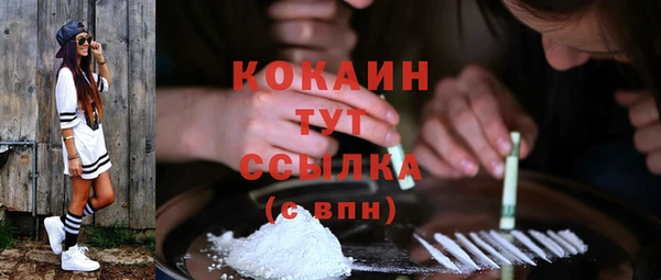 мет Дмитров