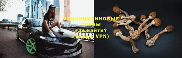 мяу мяу мука Дмитровск