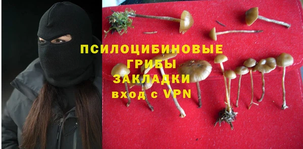 СК Дмитриев