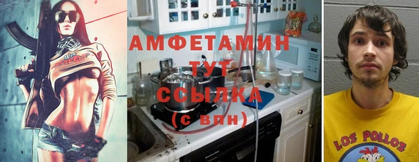 мет Дмитров
