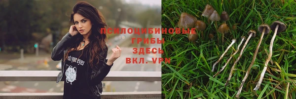 СК Дмитриев