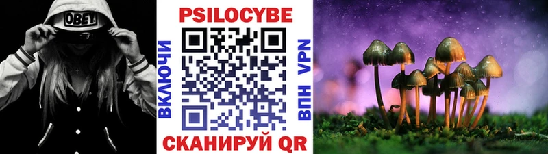 Купить где  Канск  Псилоцибиновые грибы ЛСД 